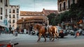 Beautiful shot of everyday scenery on the streets of Madrid, Spain Royalty Free Stock Photo