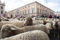 Panoramic view of the sheep passing through the main street of Madrid, Behind the sheep are the shepherds leading the flock.