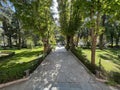 The Buenavista Palace in Madrid. Gardens detail Royalty Free Stock Photo