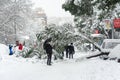 Madrid, Spain, 01.09.2021, Snow covered street Segovia, falling tree in Madrid center, it's snowing, The storm Filomena.