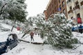 Madrid, Spain, 01.09.2021, street Segovia, falling tree in Madrid center, The storm Filomena