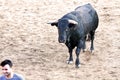 MADRID SUBURB OF SAN SEBASTIAN DE LOS REYES - SEPTEMBER 29: Men