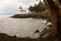 Madrona Tree Lime Kiln Lighthouse San Juan Island Haro Strait