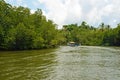 Madu river and tropical rain forest in river bank , Bentota , Sri Lanka.