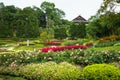 Mae Fah Luang flower garden