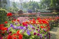 Mae Fah Luang Garden. Chiangrai ,Thailand Royalty Free Stock Photo