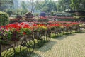 Mae Fah Luang Garden. Chiangrai ,Thailand Royalty Free Stock Photo