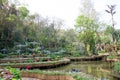Mae Fah Luang Garden, DoiTung
