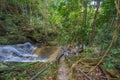 Fresh and cool atmosphere at Mae Kampong Waterfall in Ban Mae Kampong,Mae On sub-district,Chiangmai,northern Thailand. Royalty Free Stock Photo