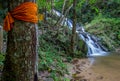 Fresh and cool atmosphere at Mae Kampong Waterfall in Ban Mae Kampong,Mae On sub-district,Chiangmai,northern Thailand. Royalty Free Stock Photo