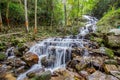 Fresh and cool atmosphere at Mae Kampong Waterfall in Ban Mae Kampong,Mae On sub-district,Chiangmai,northern Thailand. Royalty Free Stock Photo