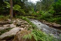 Mae Kampong waterfall and river in green forest, Thailand Royalty Free Stock Photo