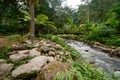 Mae Kampong waterfall and river in green forest, Thailand Royalty Free Stock Photo