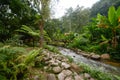 Mae Kampong waterfall and river in green forest, Thailand Royalty Free Stock Photo