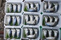 Mae Klong Mackerel fish sold on market
