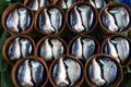 Mae Klong Mackerel fish sold on market