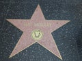 Mae Murray star in hollywood