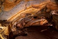 Mae Sap Cave it`s a beautiful cave at Samoeng District, Chiang Mai, Thailand