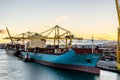 Maersk Line Cargo Ship with Spabunker Treinta Bunkering Tanker alongside, as well as Yang Ming Cargo Vessel