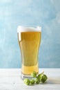 Mag with beer, spikelets and hop on wooden table Royalty Free Stock Photo