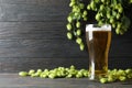 Mag with beer, spikelets and hop on wooden table Royalty Free Stock Photo