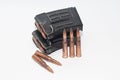 Magazine with 7.62 x 54R bullets for SVD (Dragunov) Royalty Free Stock Photo