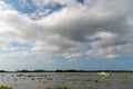 Magdalena river landscape with fisherman boat. Colombia.