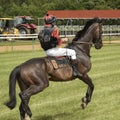 Magdeburg, Germany - 24 June 2017: Jockey is riding on a dark bay horse on hippodrome Royalty Free Stock Photo