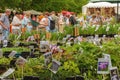 People enjoy nature and buy plants for their gardens. Summer landscape Royalty Free Stock Photo