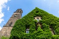 Magdeburg gothic medieval cathedral Dom church slate tile roof and green fresh Ivy covered old stone wall against clear