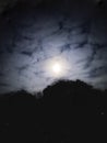 Moon rise over the forest Royalty Free Stock Photo