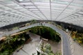 Mage of Sky walk bridge at cloud mountain inside garden by the bay