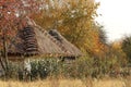 Mage of thatched roof of an old house. Around the house there is a wicker fence. Everywhere flowers and trees. House in the villag