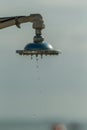 Mage of a vintage old shower head splashing water close up background. Water flows from the head of an old shower. Background for