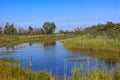 Magee Marsh landscape in Northern Ohio Royalty Free Stock Photo