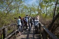 MAGEE MARSH, OH, USA-MAY 11, 2023: Bird watchers, nature lovers and photographers watching the migration Royalty Free Stock Photo