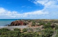 Magellan penguins colony at Atlantic ocean shore Royalty Free Stock Photo