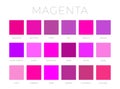 Magenta Color Shades Swatches Royalty Free Stock Photo