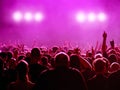 Magenta Concert Royalty Free Stock Photo