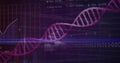 Magenta DNA helix stretching in virtual scene, showing binary code, grid chart, scan line, % ticker Royalty Free Stock Photo