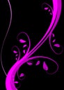 Magenta Floral Background