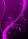 Magenta Floral Background