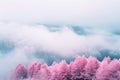 Magenta Mist Envelops Pine Peaks. Royalty Free Stock Photo