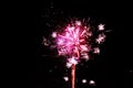 Magenta pink fireworks isolated on a dark night background Royalty Free Stock Photo