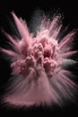 Pink Powder Explosion on Black Background