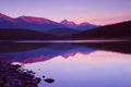 Magenta Skies