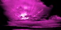 Magenta Sunset with Suns Rays Royalty Free Stock Photo