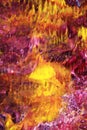 Magenta white and yellow Abstract Acrylic Painting