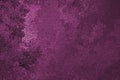 Magenta winter background. Surface of ice crystals close-up. Dark purple tinted grainy backdrop. An abstract Christmas pattern of Royalty Free Stock Photo