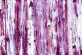 Magenta wooden texture or wooden pattern background